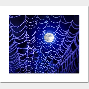 Night Web Posters and Art